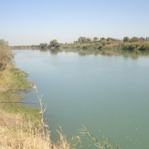 Алишер Мирджураев