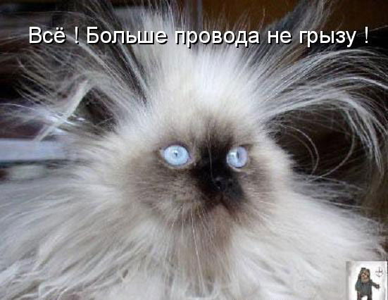 Анастасия К