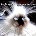 Анастасия К