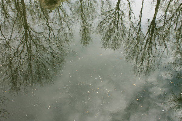 Елена Аббасова