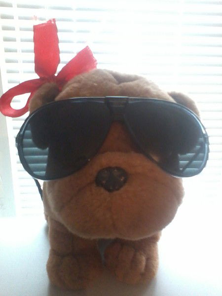 Саян Рэкитир