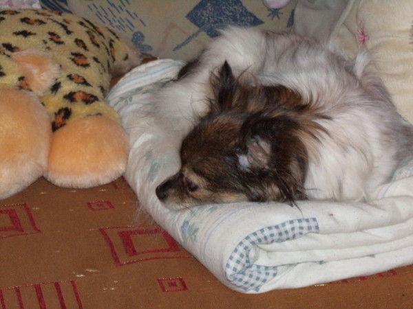 Сережка Смирнов