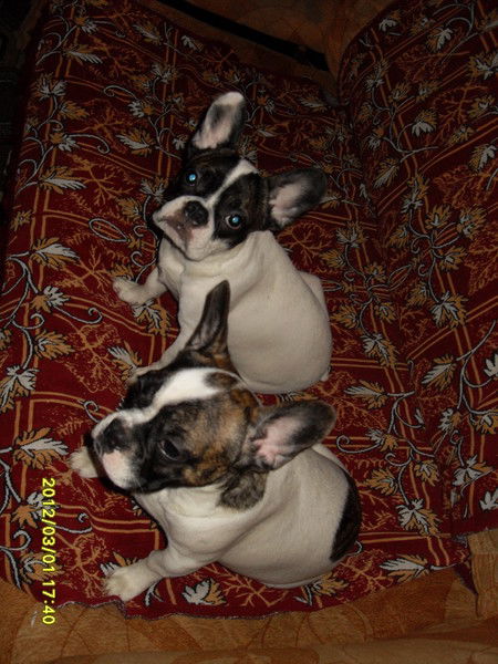 Надежда Андриенко