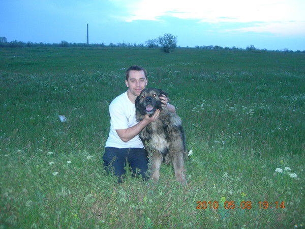 Вячеслав Степанюк