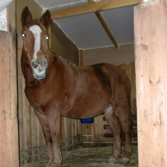 Анжелика Воротынцева Зф