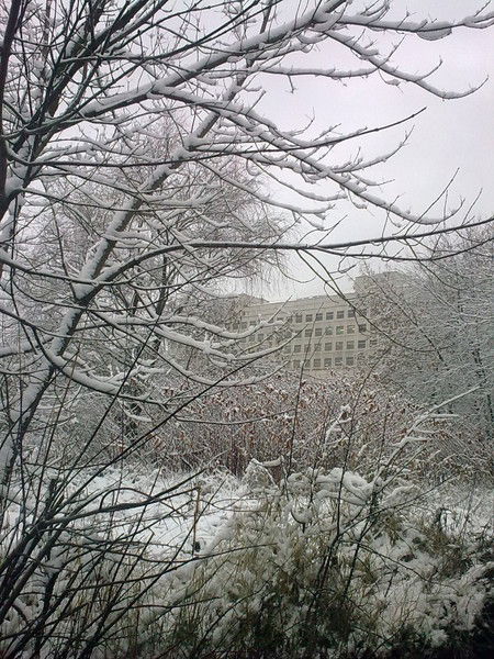 Елена Балмашнова