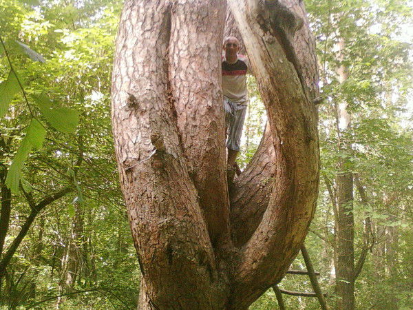 Владимир Оленин