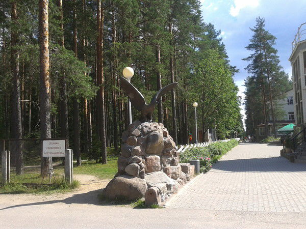 Вася Кузьмин