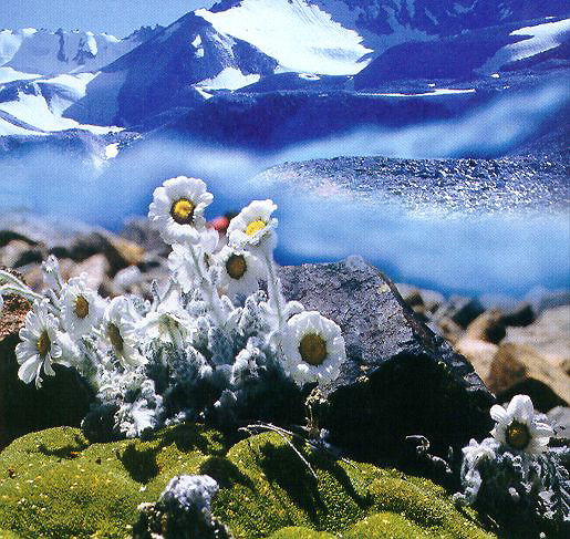 Гулжан Асанбаева