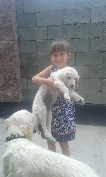 Руслан Нарбек