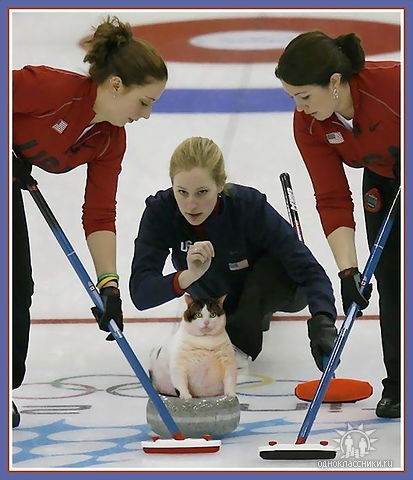 Дина Ковтун