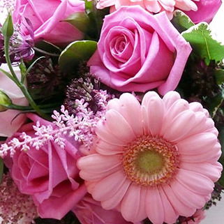 Ума Магомедова