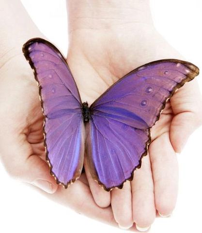 Марина Клэр