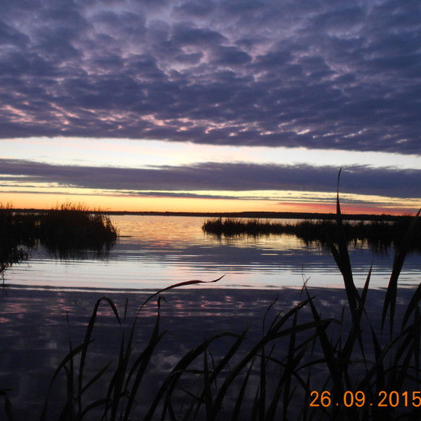 Дмитрий Тасаковский