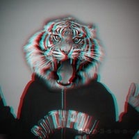 Владислав Мишунин