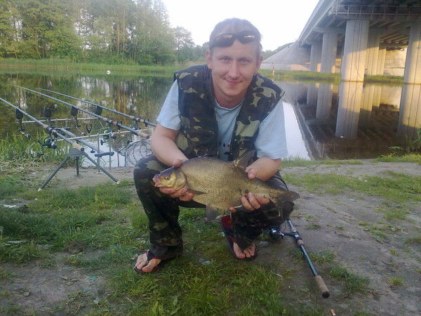 Андрей Сельвестров