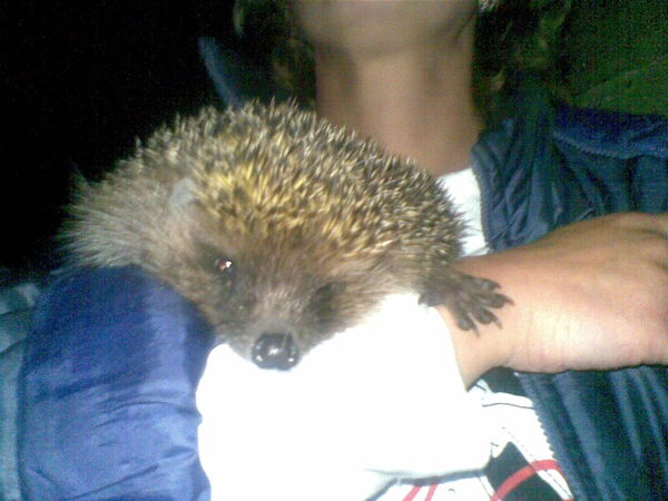 Екатерина Сергеевна