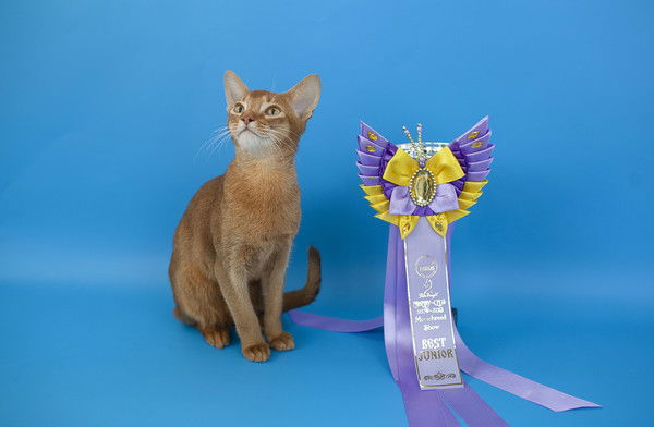 Ля Руш 123123123