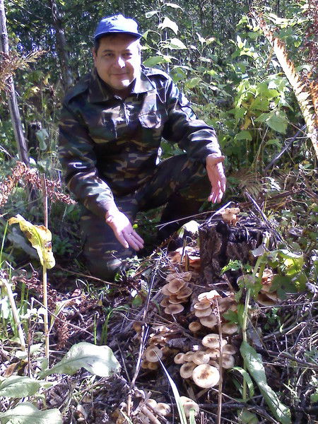 Владимир Шарипов