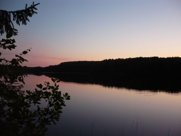 Анастасия Мельникова