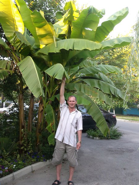 Михаил Земель