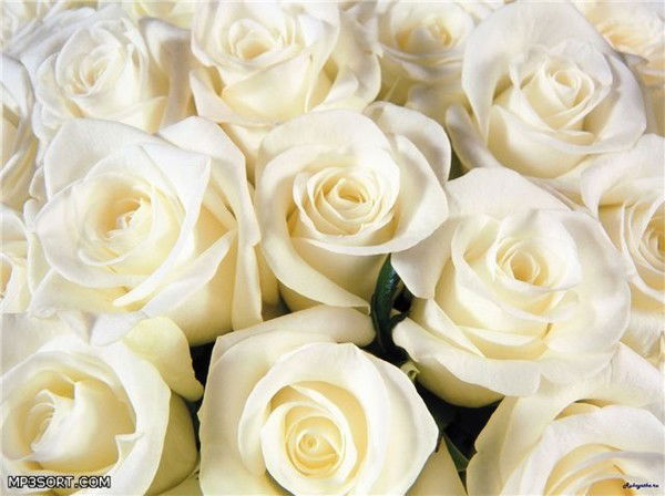 Оля Горбачёва