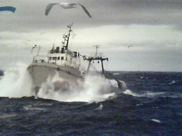 Сологубов Виктор Фёдорович