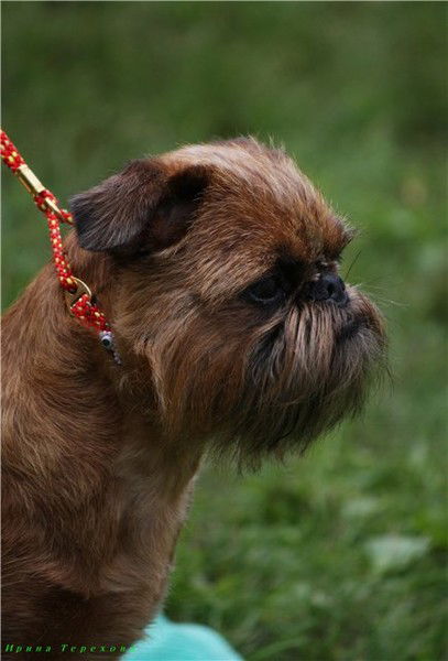 Марина Салова