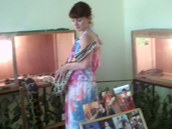 Фея На Метле