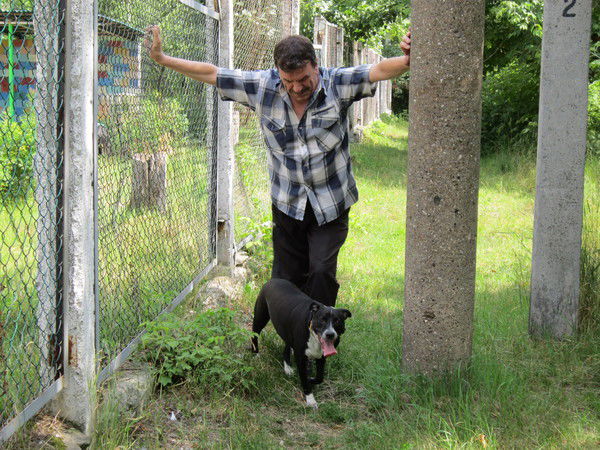 Сергей Тараненко