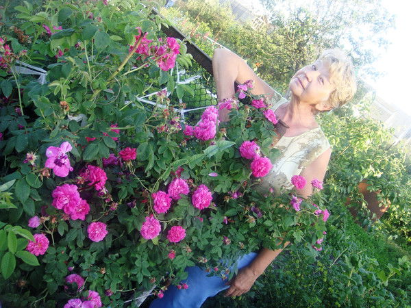 Анна Петрова