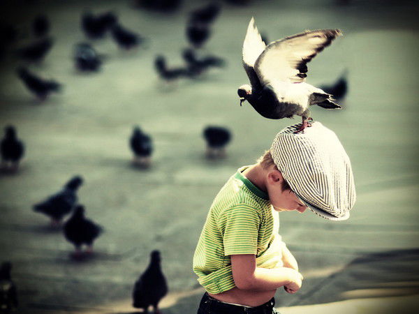 Андрей Коробейников