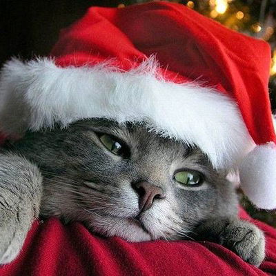 Илья Багер-От-Бога'-'