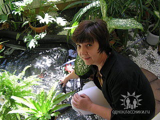 Елена Приходченко