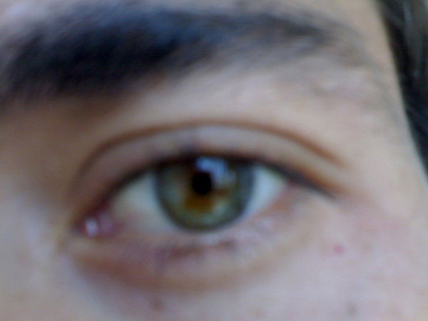 Аликожа Саиджалил Ули