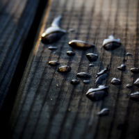 Клавдия Цветкова