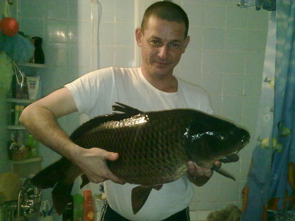 Дима Бабенко