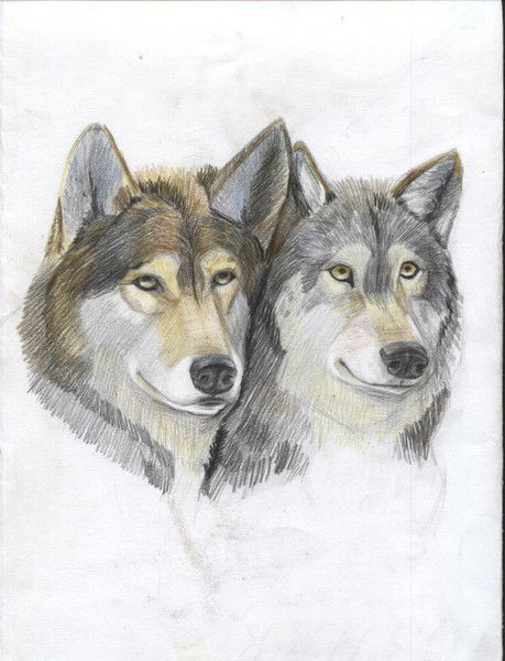 Екатерина Молчанова