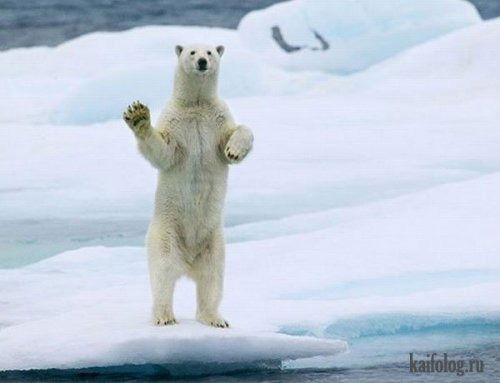 Андрей Галак