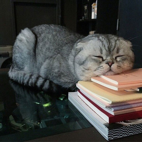 Ангелина Артёмова