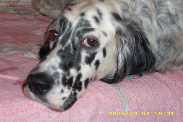 Галина Оганесян