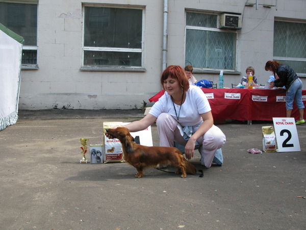 Елена Тромм (Усова)