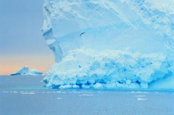 Светлана Удахина