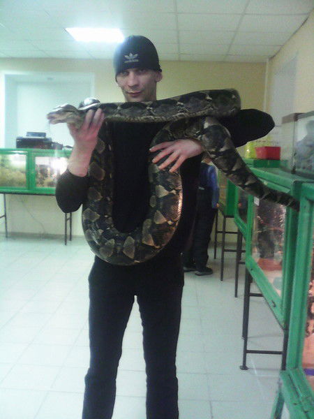 Александр Шишкин