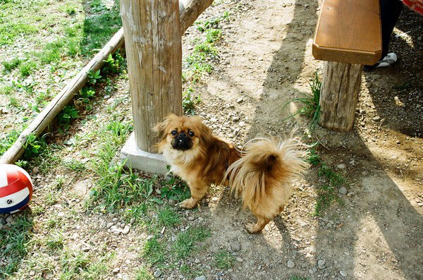 Олеся Боярчук