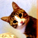 Сергей Максимов