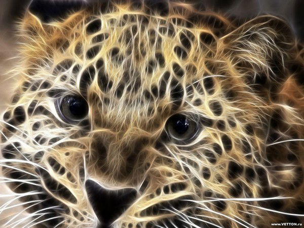 Ирина Лагода