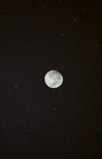 Алёна Евтушенко