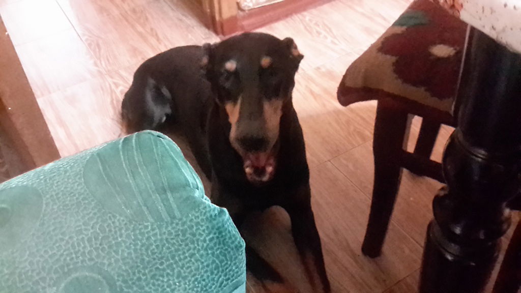 Татьяна Гашук