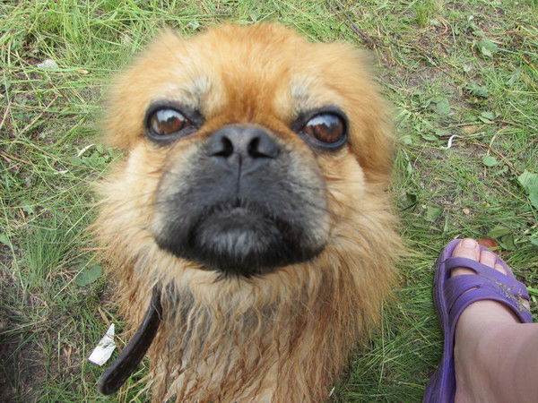 Андрей Двойнин